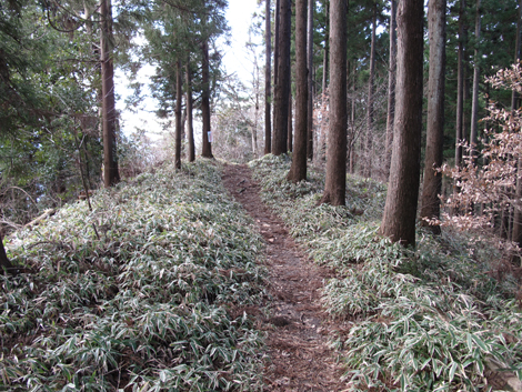 20161229hike (108)